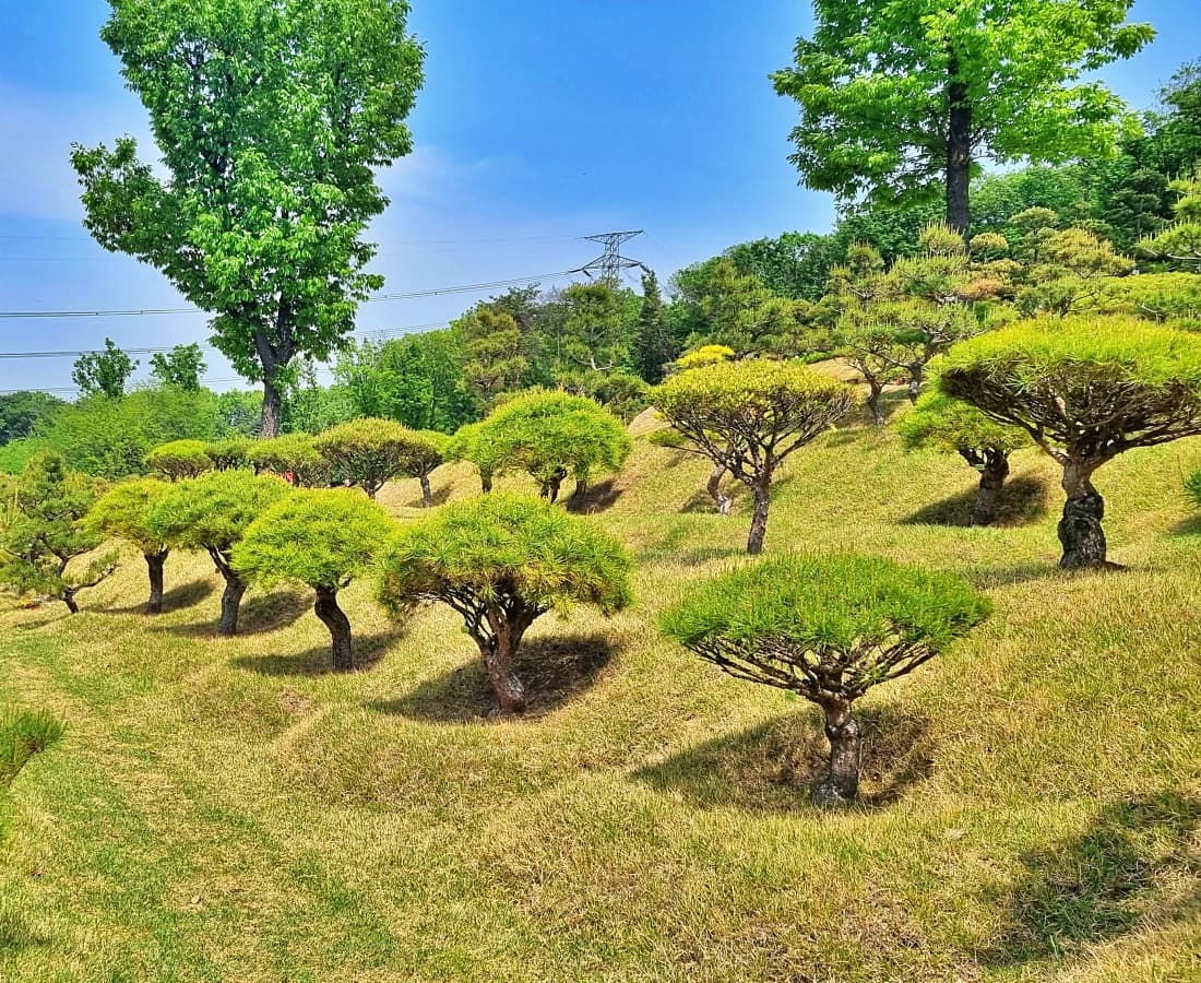 정갈하게 관리된 개인목 구역